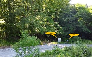 Oportunitate Investitie Teren Dambu Morii | Necesar PUD | Utilitati | 4.800mp - Poză 6