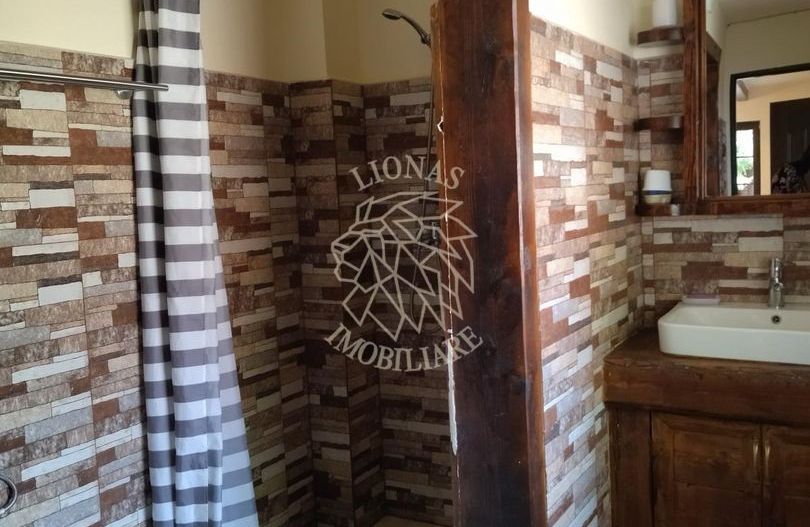 Cabana 160 mp-teren 5 ari-Foisor cu barbecue-La cheie-Colibita - Poză 11