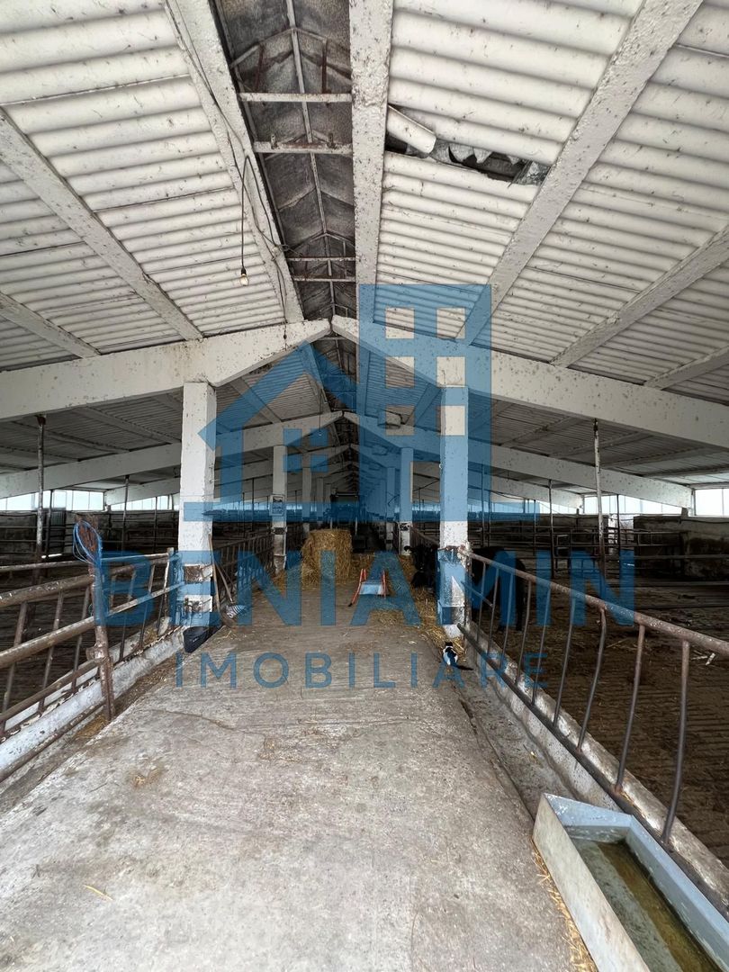 60.000mp Ferma de bovine, păsări, porcine, culturi agricole Diverse - Poză 3