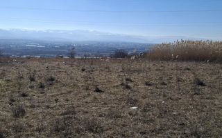 Teren Extravilan I 3400mp I Intabulat I Zona Dealul Daii - Poză 1