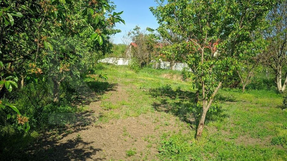 Vânzare, casă, com. Boșcana, r-nul Criuleni - Poză 5