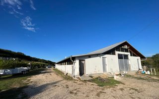 Ferma de vanzare cu 550MP utili si 27.500MP teren la asfalt - Poză 6