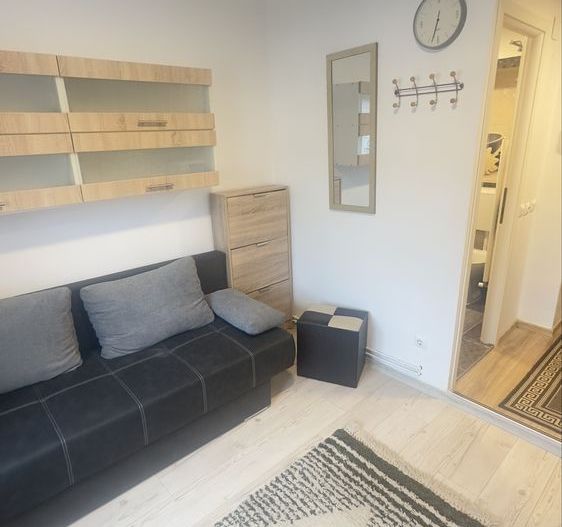 Grasoniera-zona Buziasului | Mobilata si Utilata | Renovata - Poză 3