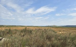 Teren intravilan– 50.000 mp, Bacău, Șoseaua Hol - Poză 4