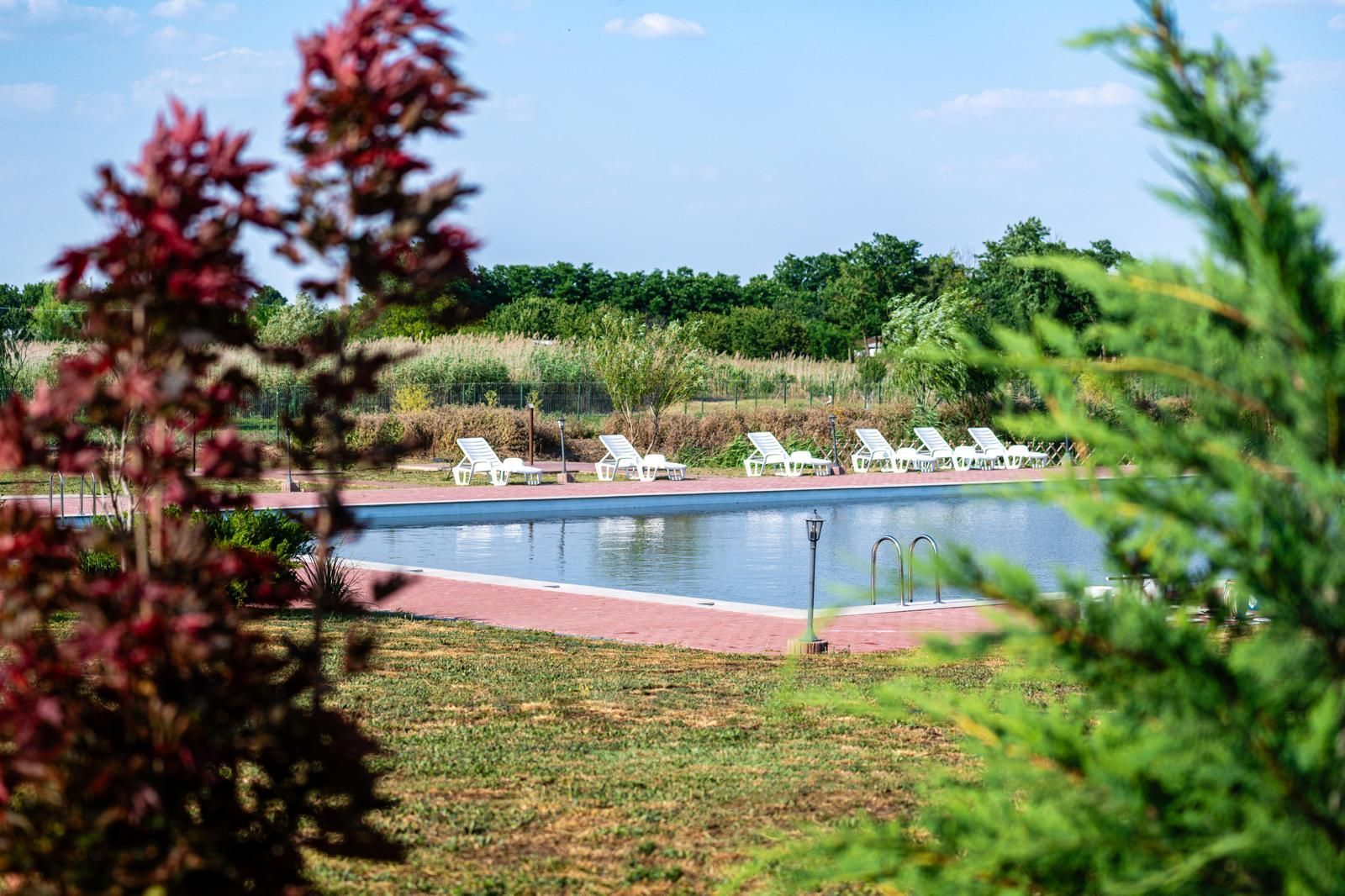 Sala de evenimente cu  piscina si foisor Biled COMISION 0 % CUMPARATOR - Poză 16