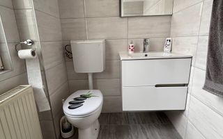 Vilă de închiriat zona Parvan - Poză 33