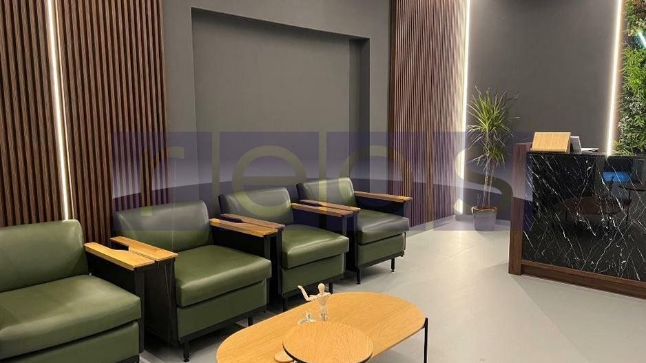 VANZARE VILA KISELEFF 365MP | CURTE 90MP | IDEAL INVESTITIE - Poză 2