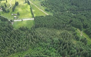 Teren extravilan 5000 MP Comandau - Poză 7