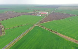 Teren industrial Dudestii Noi - Poză 6