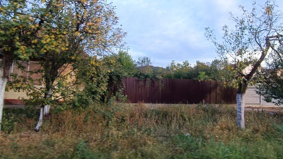 🏡  Casă de Poveste în Șiria, Arad- Locație Rară - Poză 3