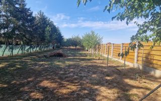 Teren | Santandrei | Drum Privat | Imprejmuit | 2052 mp | Bihor - Poză 3