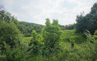 Teren intravilan lângă pădure – 1659 mp,  C.U. P+2E, Vărbilău - Poză 3