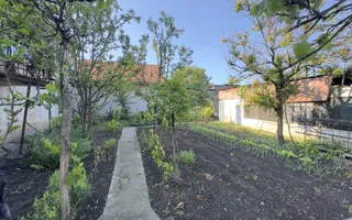 Casă 4 camere, Teren 3.862 mp Str. Traian Nr.99 - Carei - Comision 0% cumpărător - Poză 14