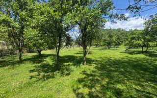 TEREN INTRAVILAN 3477 MP STOENEȘTI BĂDENI ARGEȘ - Poză 23