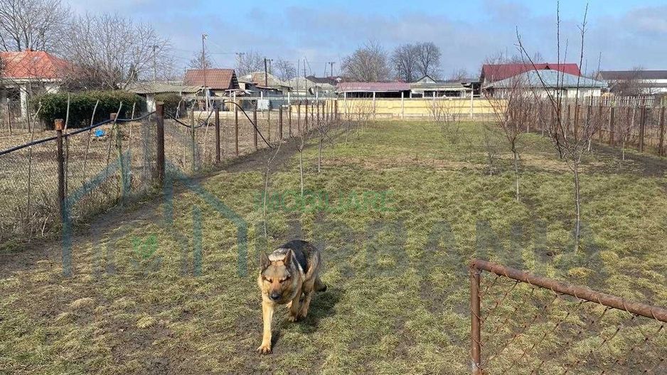 Investitie DN28 Iasi-Spatiu Comercial si Casa P/E/M-Parcare 299000Euro - Poză 6