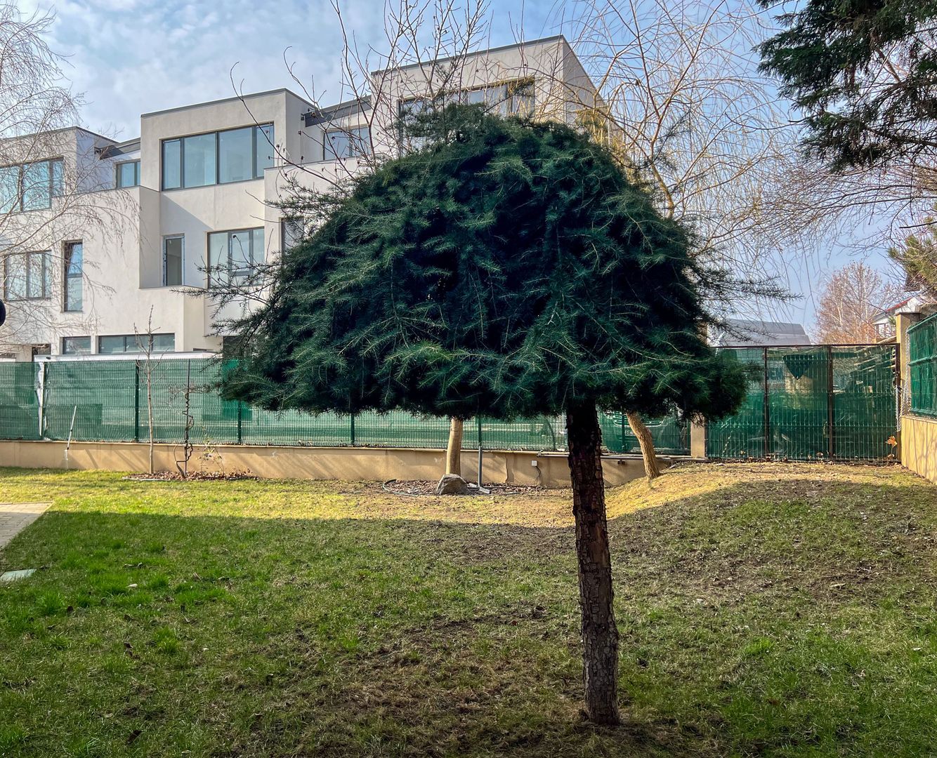 Ready to move!  Vila deosebita în Pipera- Iancu Nicolae - Poză 51