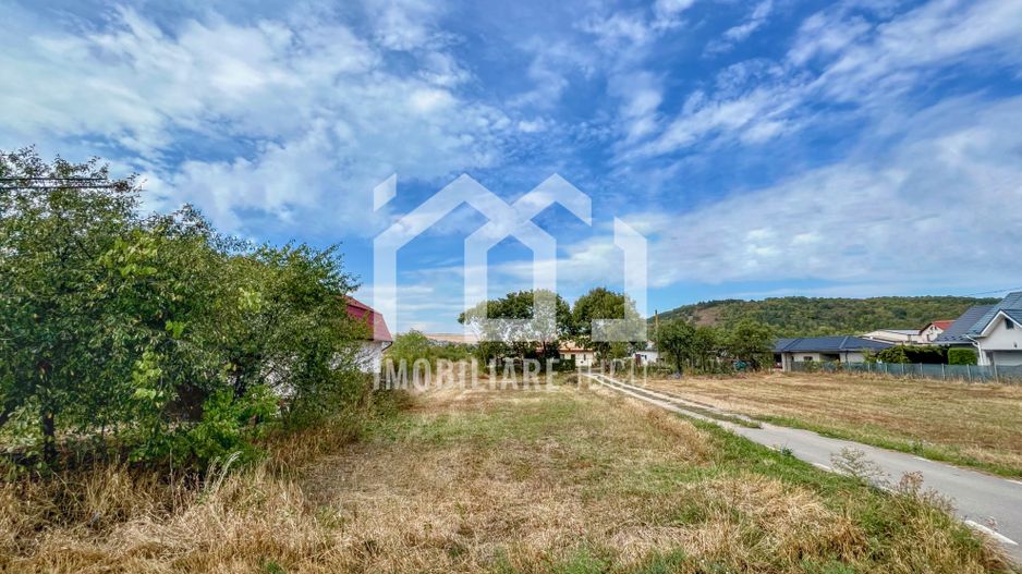 Loc de casa Jucu de Mijloc zona Panemar,  1129 mp | 14m front | asfalt - Poză 3