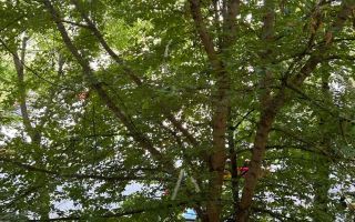 COMISION 0 Apartament 3 camere Biblioteca Nationala T572 - Poză 10