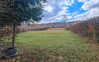 Teren de vanzare în reprezentare exclusivă, situat pe Valea Avrigului! - Poză 5