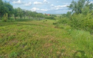 Teren intravilan de vânzare Daia Nouă | 1000 mp | Ideal pentru construcție - Poză 6