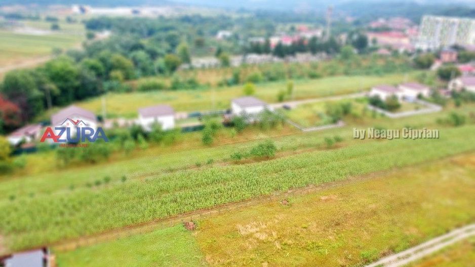 Vanzare Teren Racovita Intravilan - Poză 6