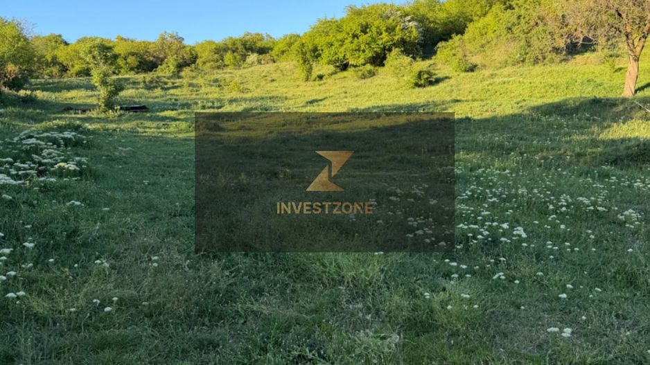 ⭐  Teren de 2.700 mp cu front generos – Ocazie în Oncea - Poză 13