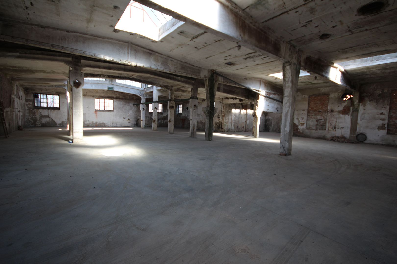 Complex industrial Periam - Poză 15