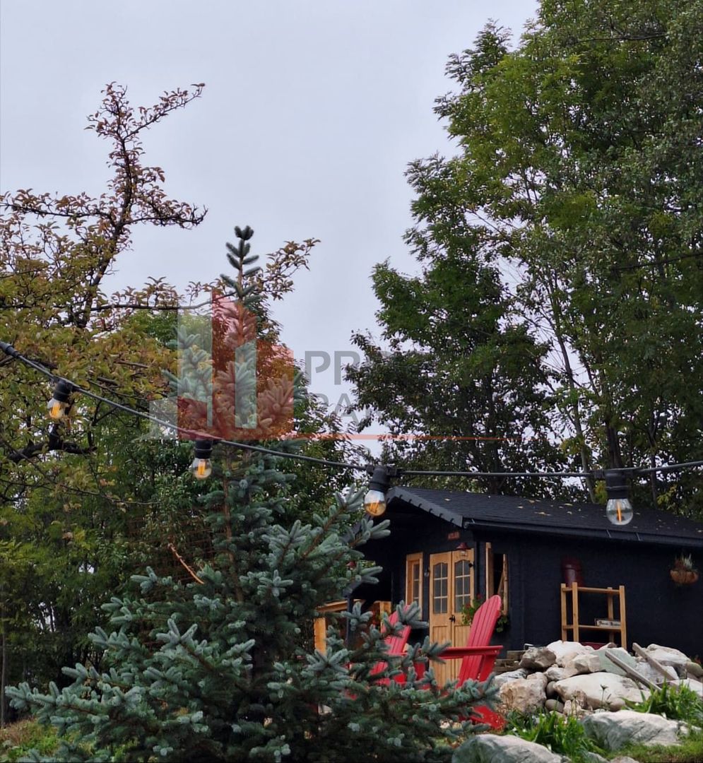 2  A-Frame | Bran Sohodol| 2 cabane | Teren 3.812 mp | Operațional | - Poză 13