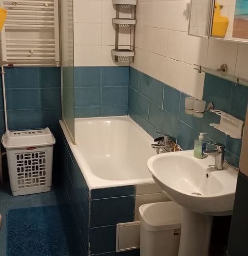 De Închiriat Garsonieră Vitan Mall, Decomandata, Petfriendly - Poză 7