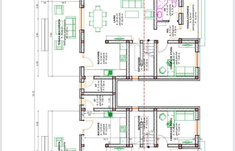Duplex modern Dumbrăvița - Poză 3