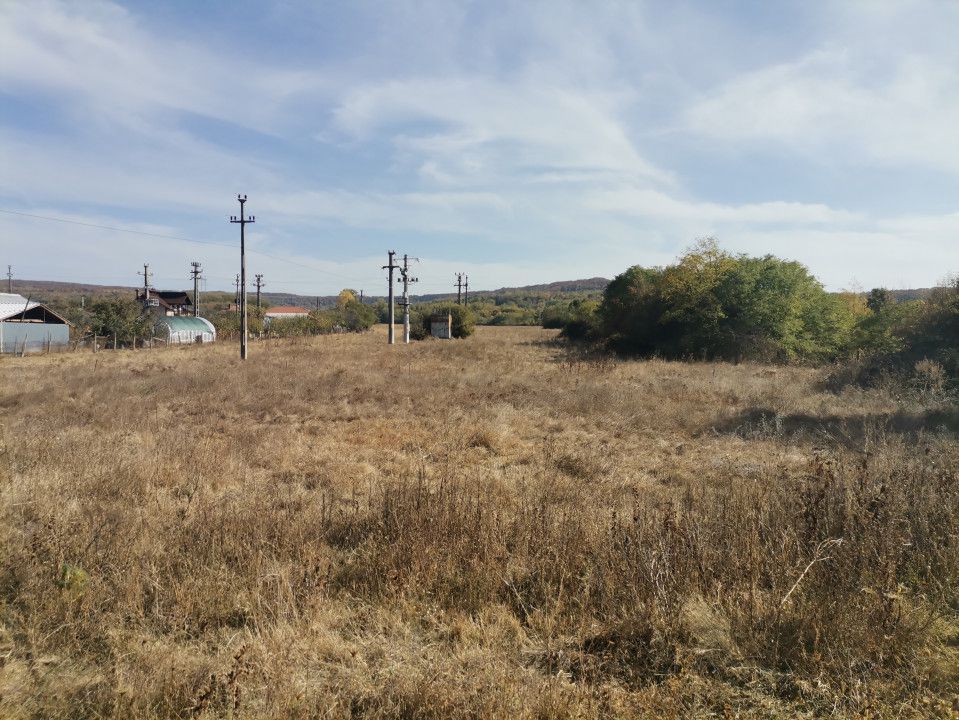Vanzare teren arabil 22 Ha, plan, Arges, Moraresti - Poză 3