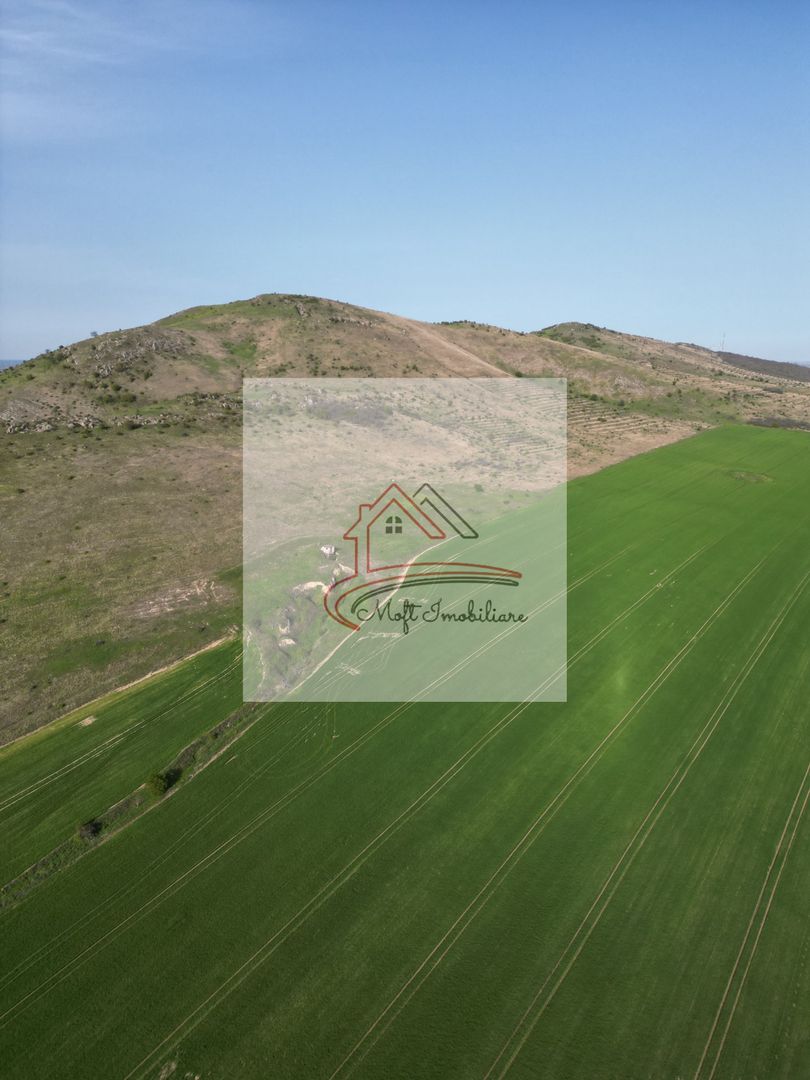 Oportunitate Investiție – Fermă 9,5 Ha cu 10.000 mp Construcții - Poză 5