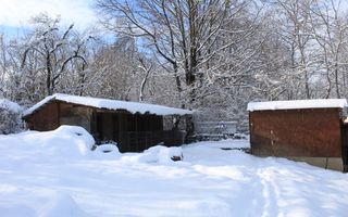Proprietate rară | 4458 mp teren intravilan | Casă solidă, natură, liniște totală. | Bratca, Bihor. - Poză 51