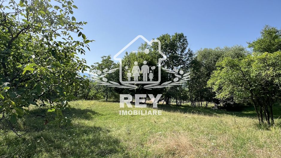 Teren de vânzare Cisnădioara - Poză 6