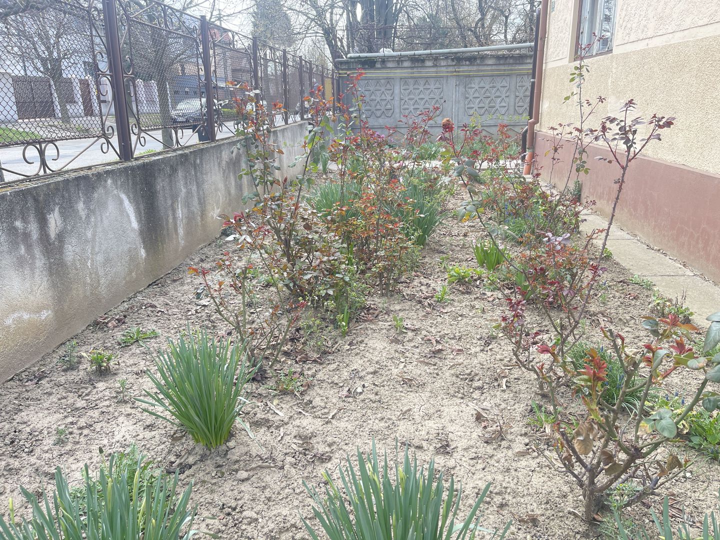 Casa de vanzare cu teren 572 mp si front generos 21 ml - Poză 7