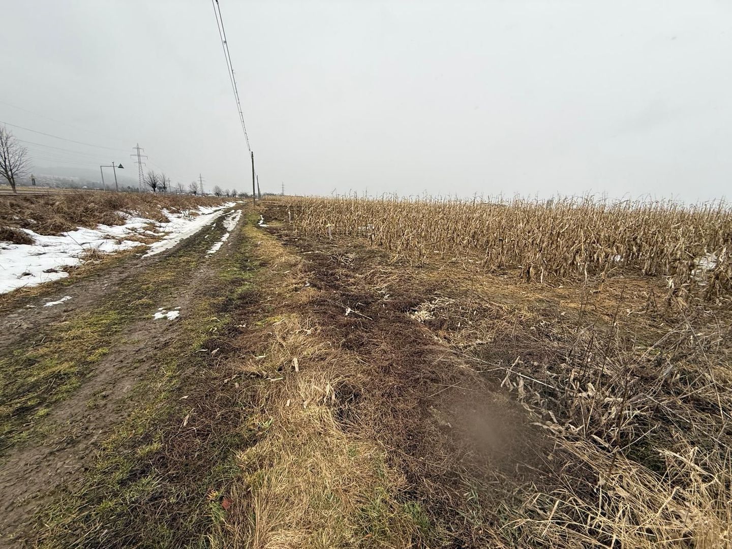 Teren extravilan | Gălănești | 7.276 mp | Front 29 m - Poză 3