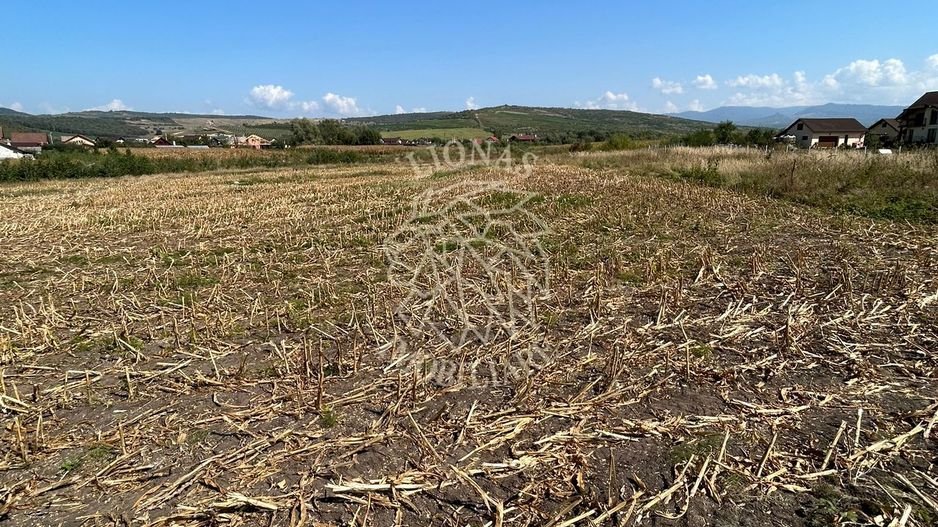 Teren 1000 mp-panoramic-zona in plina dezvoltare- Jelna - Poză 2