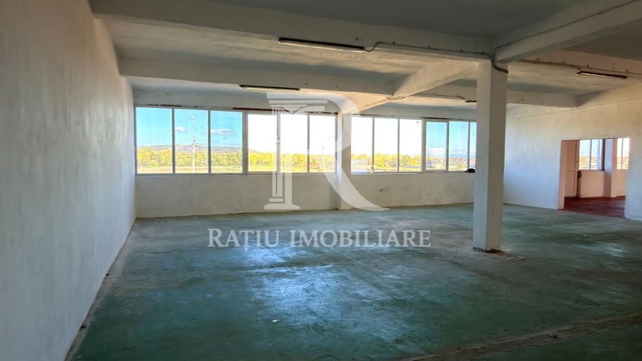 Spațiu comercial 530 mp | Depozitare și producție | Acces TIR - Poză 5