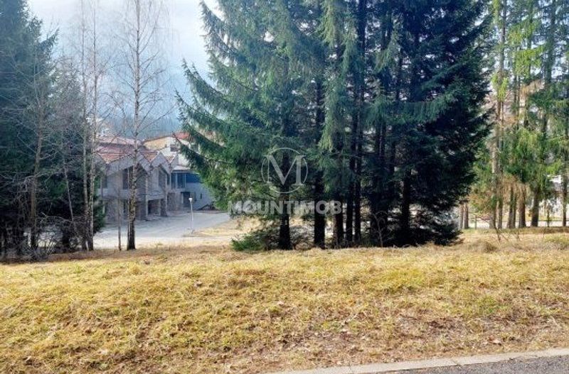 Teren intravilan în Poiana Brașov, strada Poiana Ruia - Poză 3