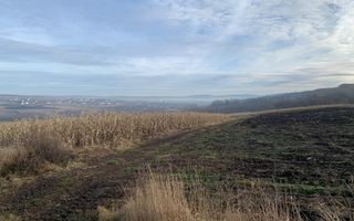 Teren intravilan de vânzare | Cajvana | 7.800 mp - Poză 6