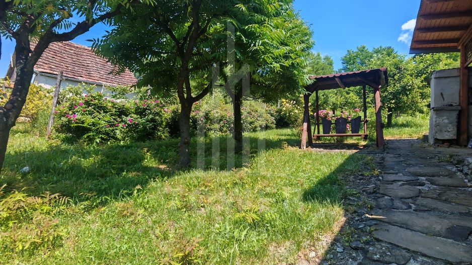 Casă săsească autentică în Bruiu (Sibiu) - Poză 16