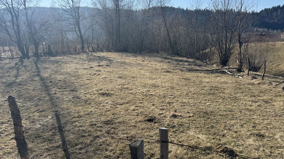 TEREN  INTRAVILAN 700 MP, LERESTI, ARGES - Poză 3