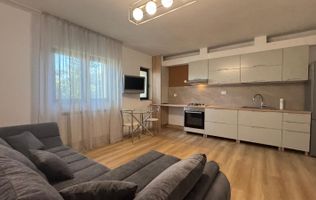 Apartament STUDIO Gara - Centru Palas Campus