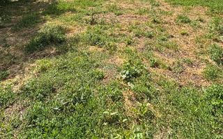 Teren intravilant | 900 MP | Burdujeni, Suceava - Poză 1