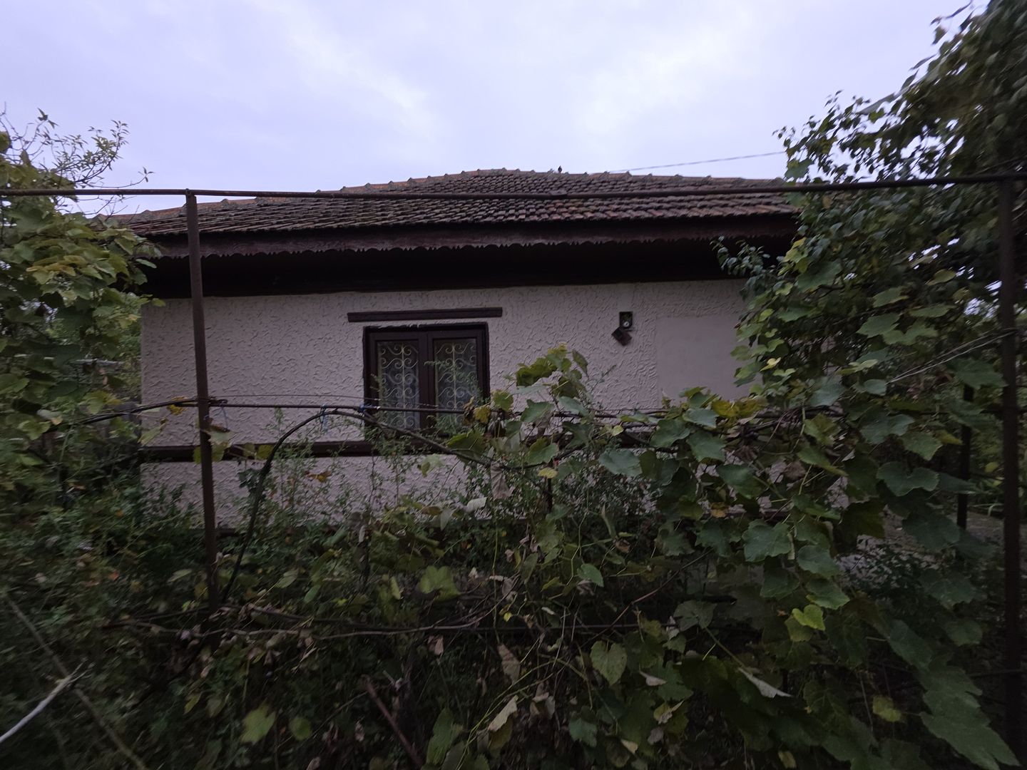 Casa parter comuna Nuci-Micsunesti-Ilfov- 30 minute capitala - Poză 5