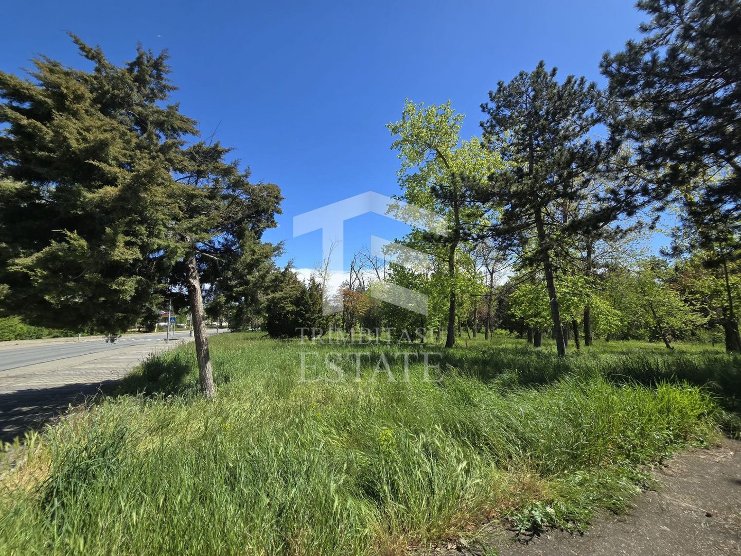 🏖 Teren de vanzare in Neptun – O oportunitate rara de investitie. - Poză 10