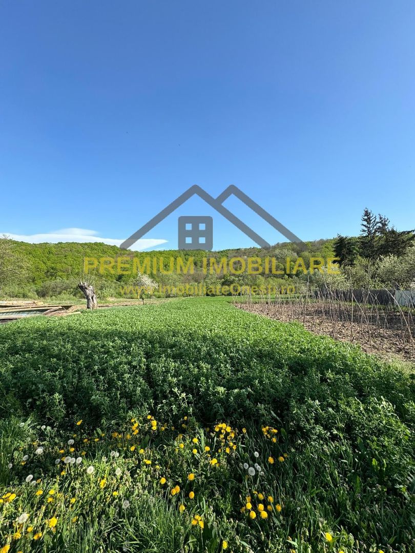 Casa Barsanesti - Poză 15