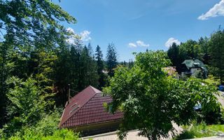 Vila Sinaia - Poză 12