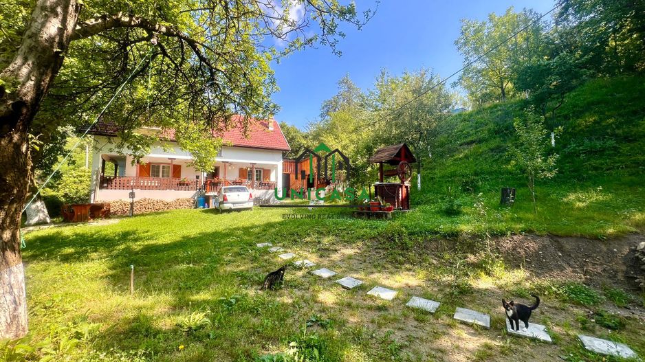 Casa cu teren generos 2919 mp/ Sat Andreesti / Comuna Mueresca - Poză 4