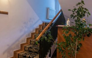 Pensiune - Baile Olanesti - Zona Centrala - Poză 47